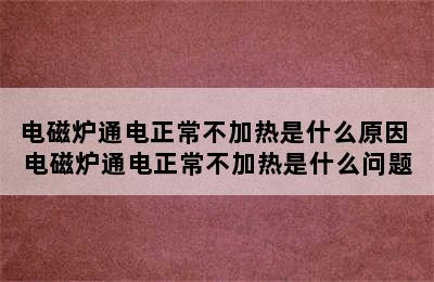 电磁炉通电正常不加热是什么原因 电磁炉通电正常不加热是什么问题